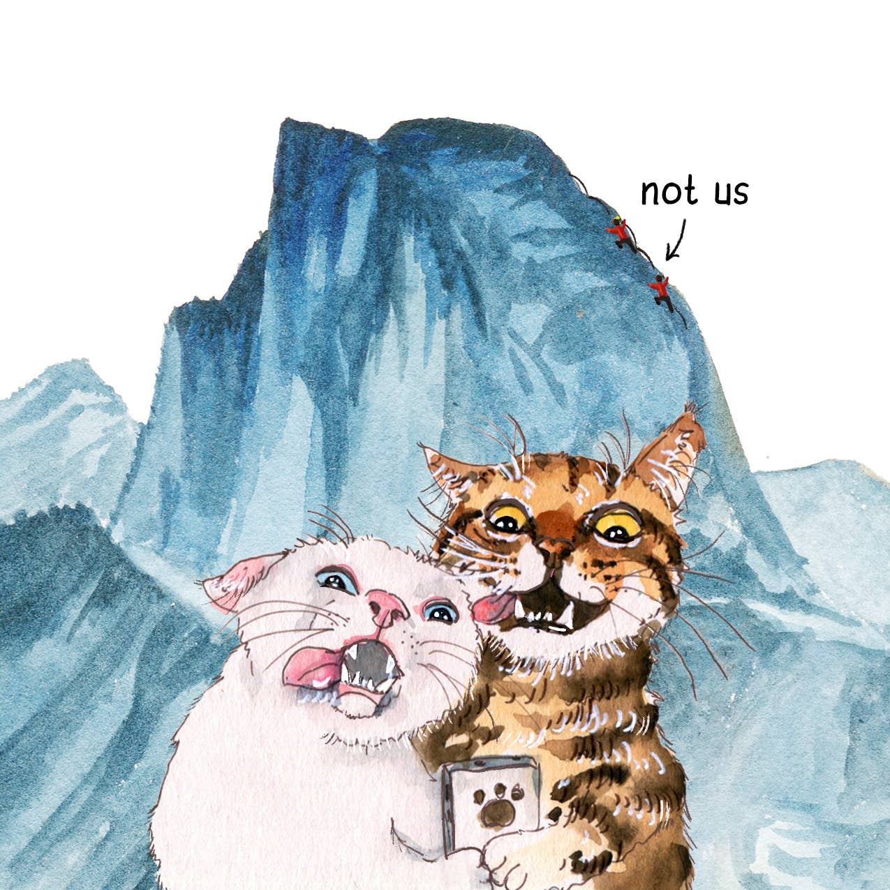 Cats Couple Adventure Funny Anniversary Card