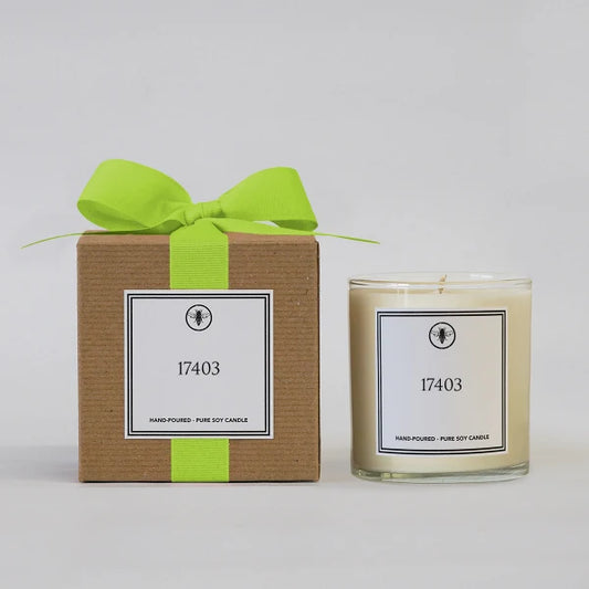 17403 soy candle